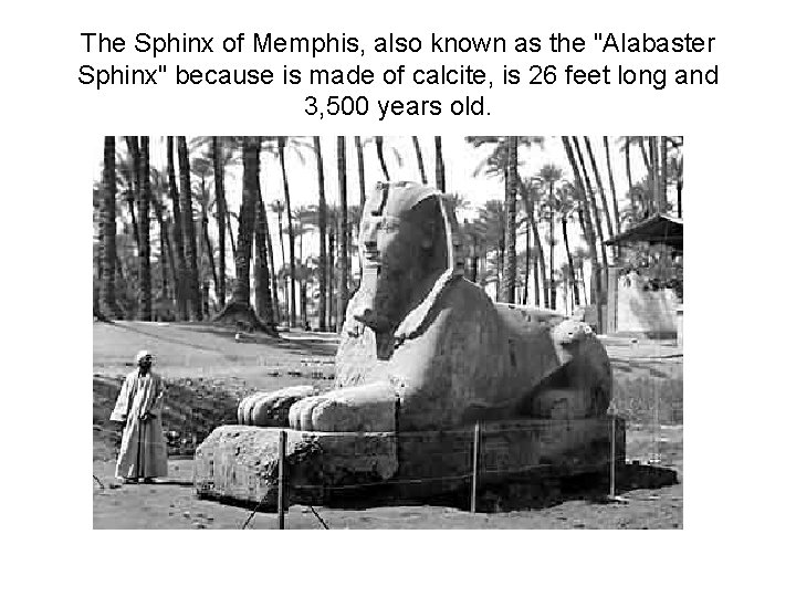 The Sphinx of Memphis, also known as the "Alabaster Sphinx" because is made of