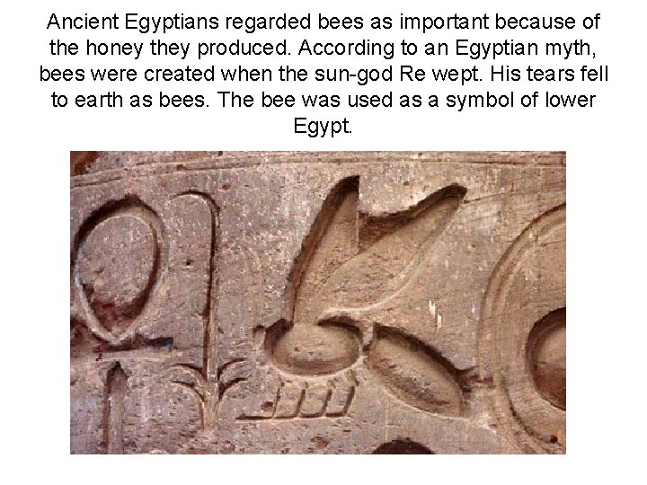 Ancient Egyptians regarded bees as important because of the honey they produced. According to