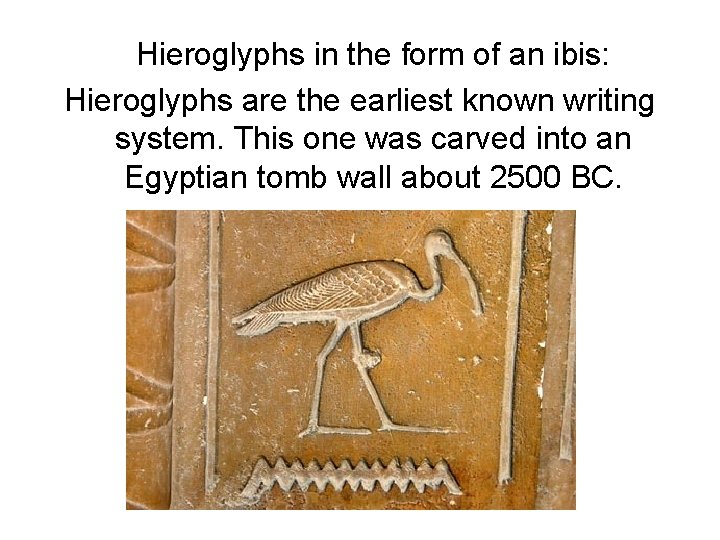 Hieroglyphs in the form of an ibis: Hieroglyphs are the earliest known writing system.