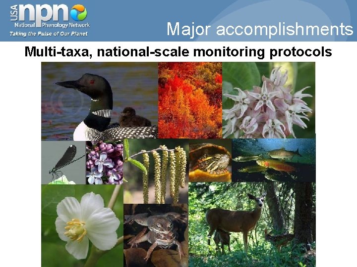 Major accomplishments Multi-taxa, national-scale monitoring protocols 