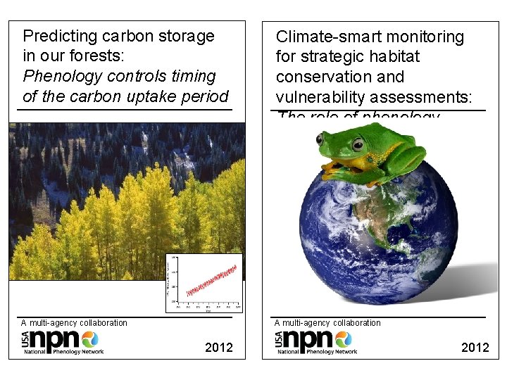 Predicting carbon storage in our forests: Phenology controls timing of the carbon uptake period