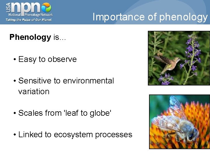 Importance of phenology Phenology is… • Easy to observe • Sensitive to environmental variation