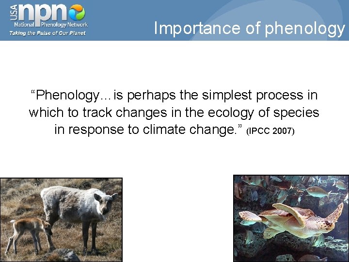 Importance of phenology “Phenology…is perhaps the simplest process in which to track changes in