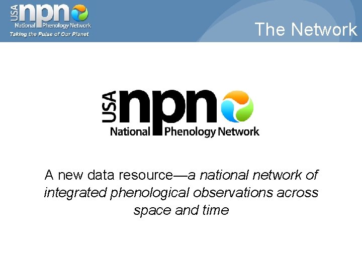 The Network A new data resource—a national network of integrated phenological observations across space