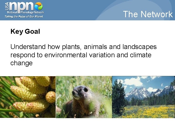 The Network Key Goal Understand how plants, animals and landscapes respond to environmental variation