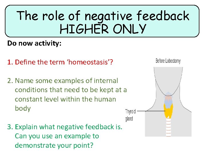 The role of negative feedback HIGHER ONLY Do now activity: 1. Define the term