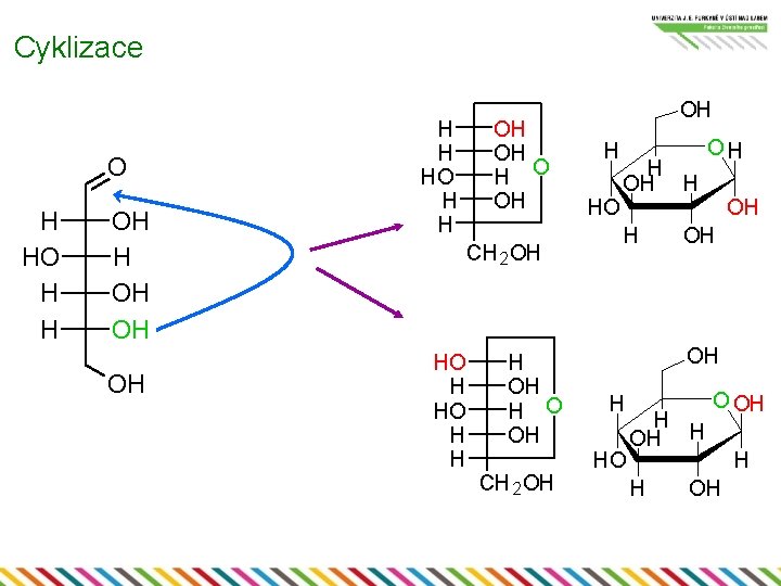 Cyklizace O H H OH OH OH H H HO H H OH OH