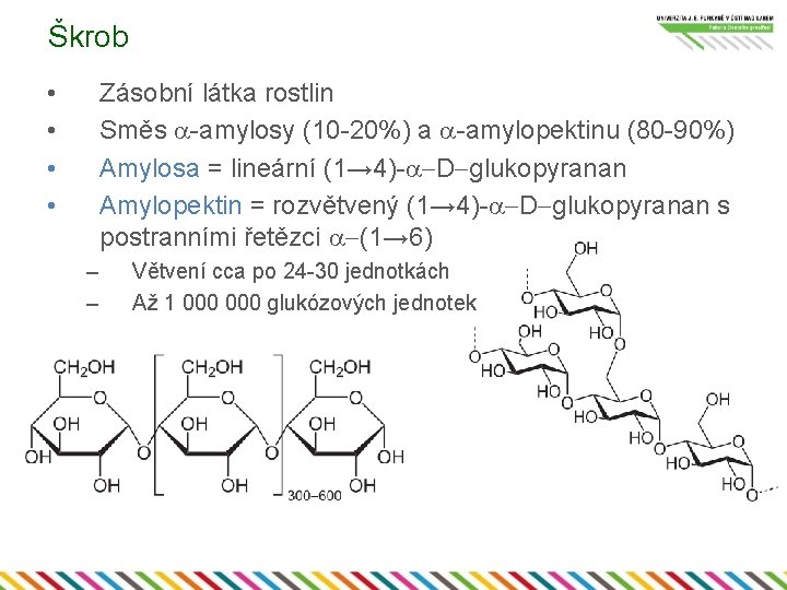 Škrob • • Zásobní látka rostlin Směs a-amylosy (10 -20%) a a-amylopektinu (80 -90%)