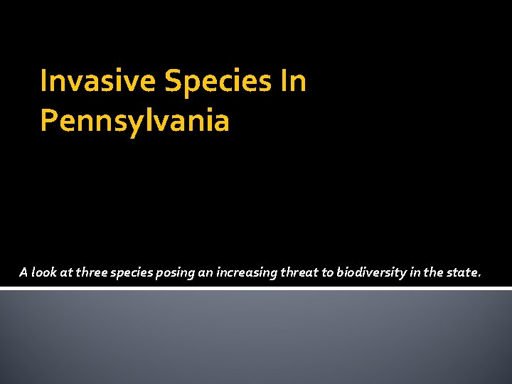Invasive Species In Pennsylvania A look at three species posing an increasing threat to Invasive Species In Pennsylvania A look at three species posing an increasing threat to
