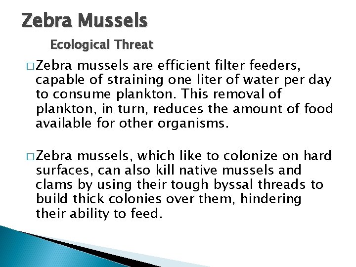 Zebra Mussels Ecological Threat � Zebra mussels are efficient filter feeders, capable of straining Zebra Mussels Ecological Threat � Zebra mussels are efficient filter feeders, capable of straining