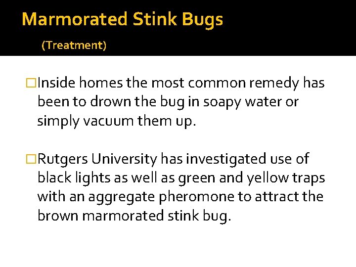 Marmorated Stink Bugs (Treatment) �Inside homes the most common remedy has been to drown Marmorated Stink Bugs (Treatment) �Inside homes the most common remedy has been to drown