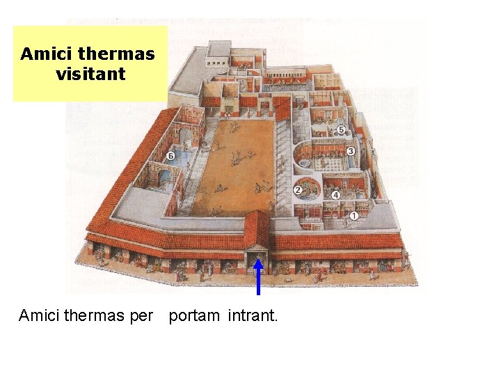 Amici thermas visitant Amici thermas per portam intrant. 