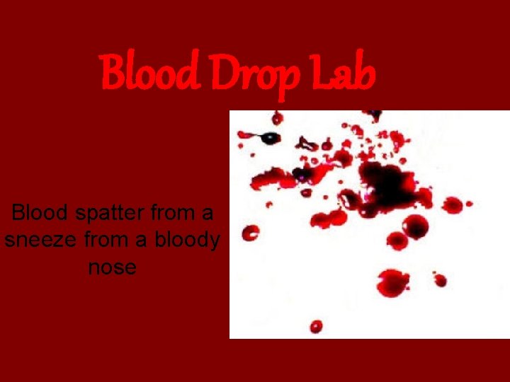 Blood Drop Lab Blood spatter from a sneeze from a bloody nose 