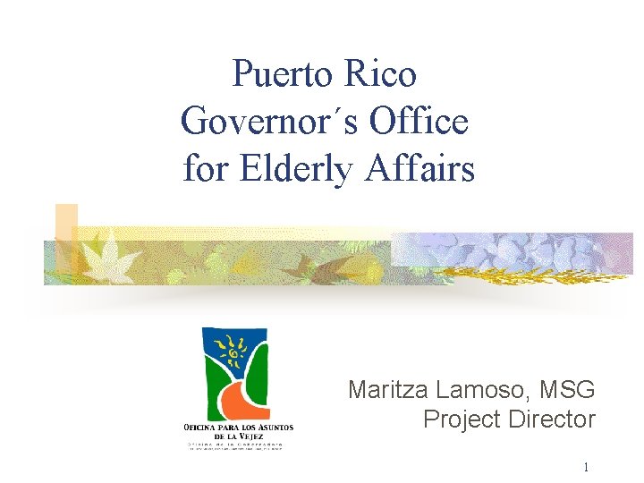 Puerto Rico Governor´s Office for Elderly Affairs Maritza Lamoso, MSG Project Director 1 