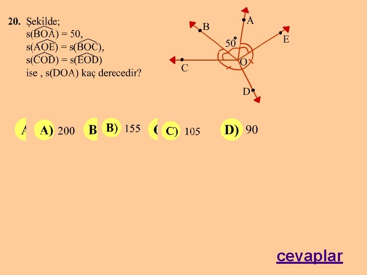 cevaplar 