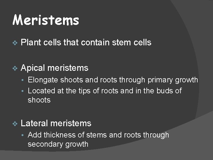 Meristems v Plant cells that contain stem cells v Apical meristems • Elongate shoots