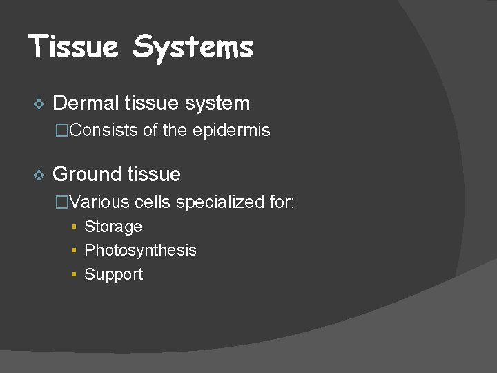 Tissue Systems v Dermal tissue system �Consists of the epidermis v Ground tissue �Various