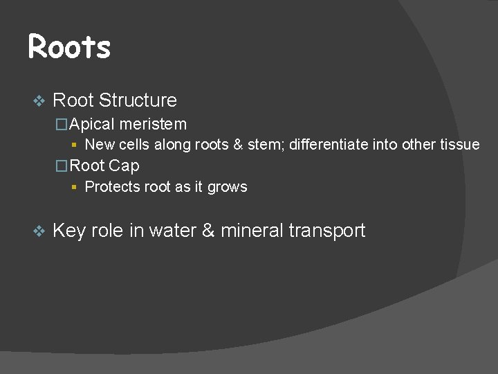 Roots v Root Structure �Apical meristem § New cells along roots & stem; differentiate