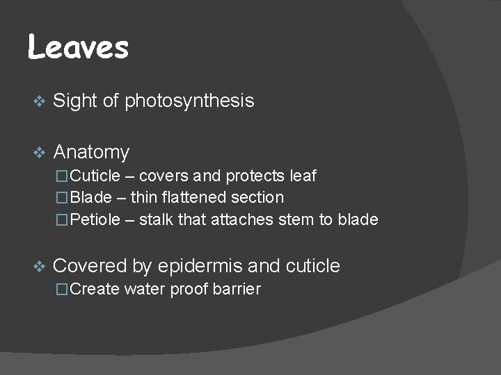 Leaves v Sight of photosynthesis v Anatomy �Cuticle – covers and protects leaf �Blade