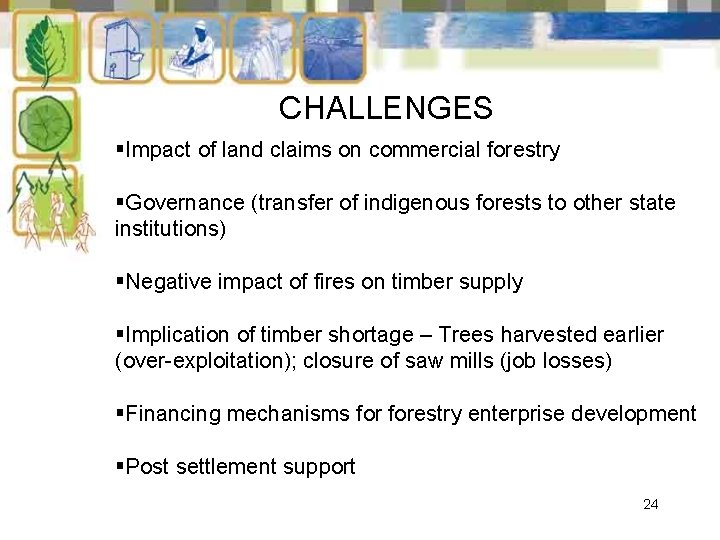 CHALLENGES §Impact of land claims on commercial forestry §Governance (transfer of indigenous forests to