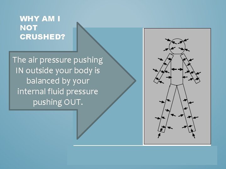 WHY AM I NOT CRUSHED? The air pressure pushing IN outside your body is