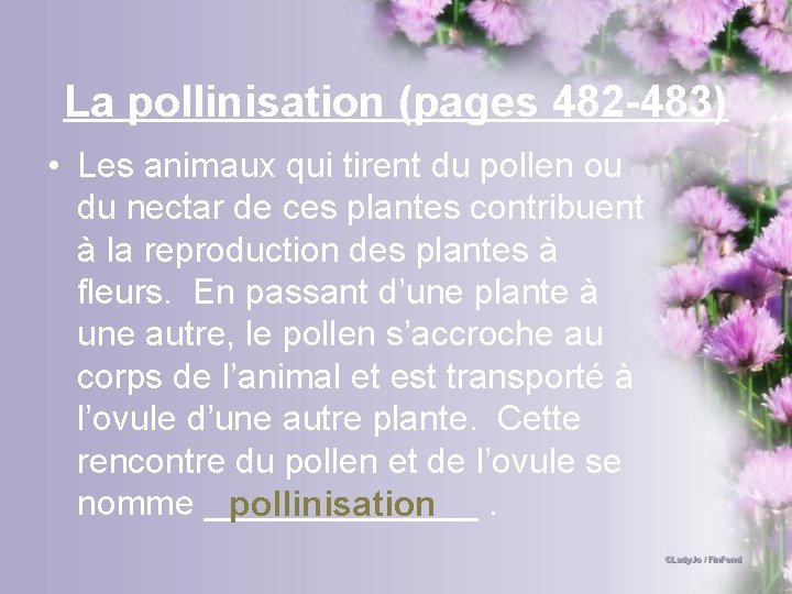 La pollinisation (pages 482 -483) • Les animaux qui tirent du pollen ou du