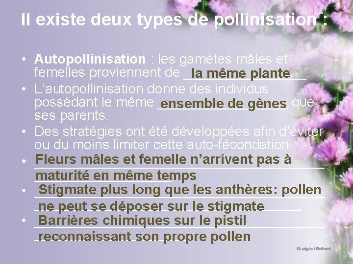 Il existe deux types de pollinisation : • Autopollinisation : les gamètes mâles et