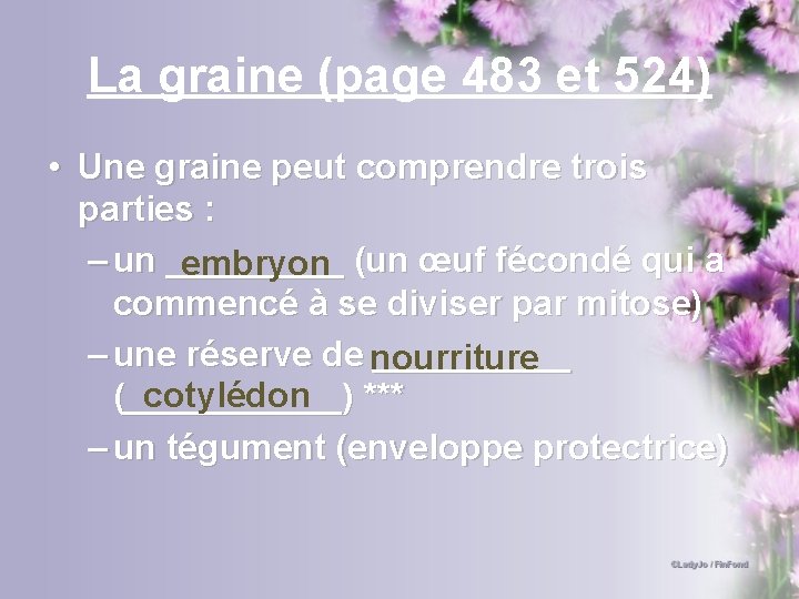 La graine (page 483 et 524) • Une graine peut comprendre trois parties :