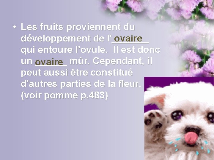  • Les fruits proviennent du développement de l'_______ ovaire qui entoure l’ovule. Il