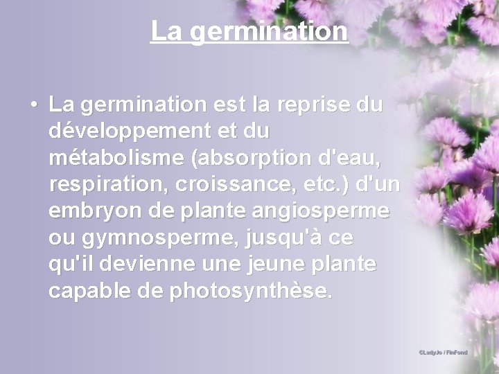 La germination • La germination est la reprise du développement et du métabolisme (absorption