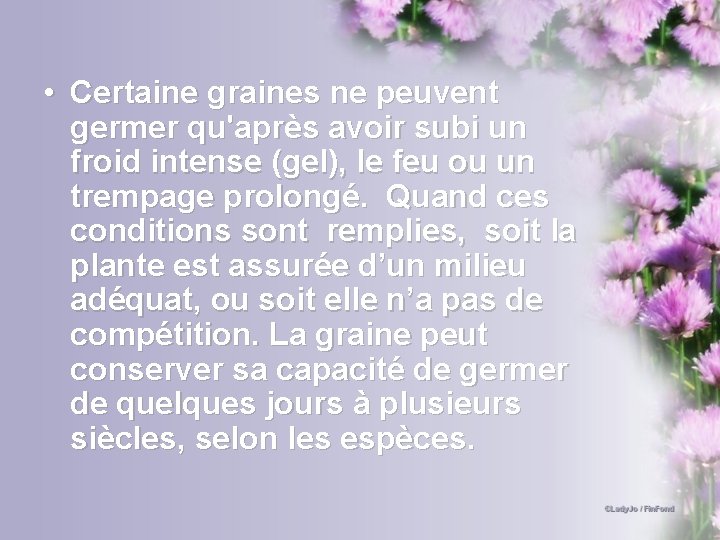  • Certaine graines ne peuvent germer qu'après avoir subi un froid intense (gel),