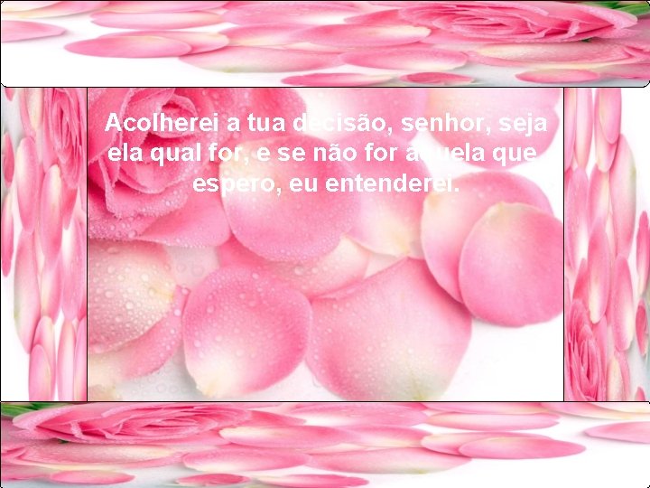 Acolherei a tua decisão, senhor, seja ela qual for, e se não for aquela