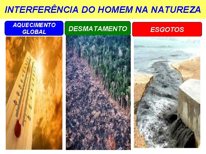 INTERFERÊNCIA DO HOMEM NA NATUREZA AQUECIMENTO GLOBAL DESMATAMENTO ESGOTOS 