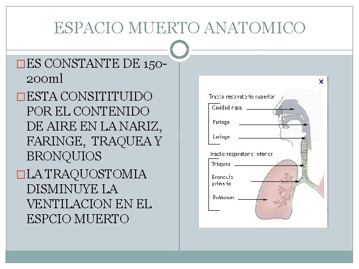 ESPACIO MUERTO ANATOMICO �ES CONSTANTE DE 150 - 200 ml �ESTA CONSITITUIDO POR EL