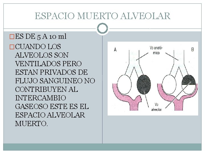 ESPACIO MUERTO ALVEOLAR �ES DE 5 A 10 ml �CUANDO LOS ALVEOLOS SON VENTILADOS