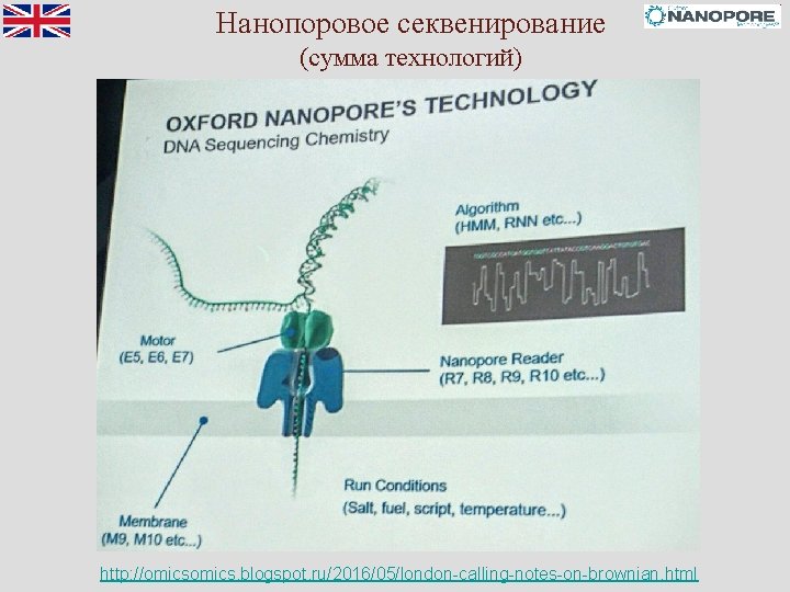 Нанопоровое секвенирование (сумма технологий) http: //omics. blogspot. ru/2016/05/london-calling-notes-on-brownian. html 