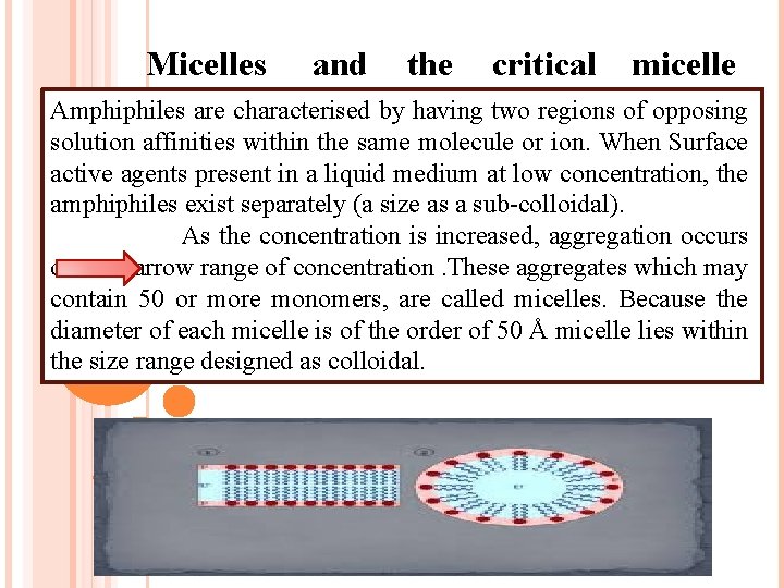 Micelles and the critical micelle Amphiphiles are characterised by having two regions of opposing Micelles and the critical micelle Amphiphiles are characterised by having two regions of opposing