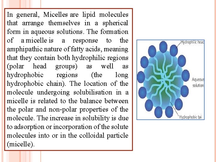 In general, Micelles are lipid molecules that arrange themselves in a spherical form in In general, Micelles are lipid molecules that arrange themselves in a spherical form in