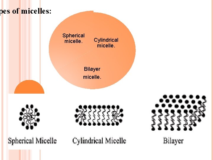 pes of micelles: Spherical micelle. Cylindrical micelle. Bilayer micelle. pes of micelles: Spherical micelle. Cylindrical micelle. Bilayer micelle.