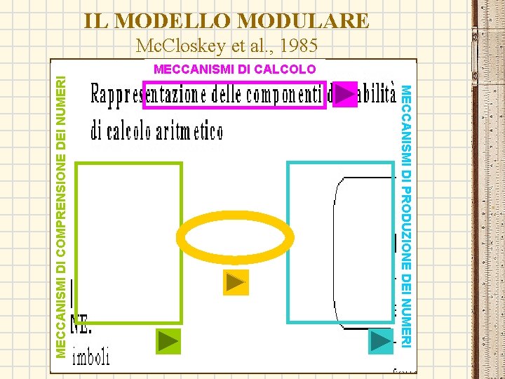 IL MODELLO MODULARE MECCANISMI DI CALCOLO MECCANISMI DI PRODUZIONE DEI NUMERI MECCANISMI DI COMPRENSIONE IL MODELLO MODULARE MECCANISMI DI CALCOLO MECCANISMI DI PRODUZIONE DEI NUMERI MECCANISMI DI COMPRENSIONE