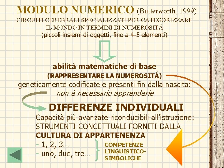 MODULO NUMERICO (Butterworth, 1999) CIRCUITI CEREBRALI SPECIALIZZATI PER CATEGORIZZARE IL MONDO IN TERMINI DI MODULO NUMERICO (Butterworth, 1999) CIRCUITI CEREBRALI SPECIALIZZATI PER CATEGORIZZARE IL MONDO IN TERMINI DI