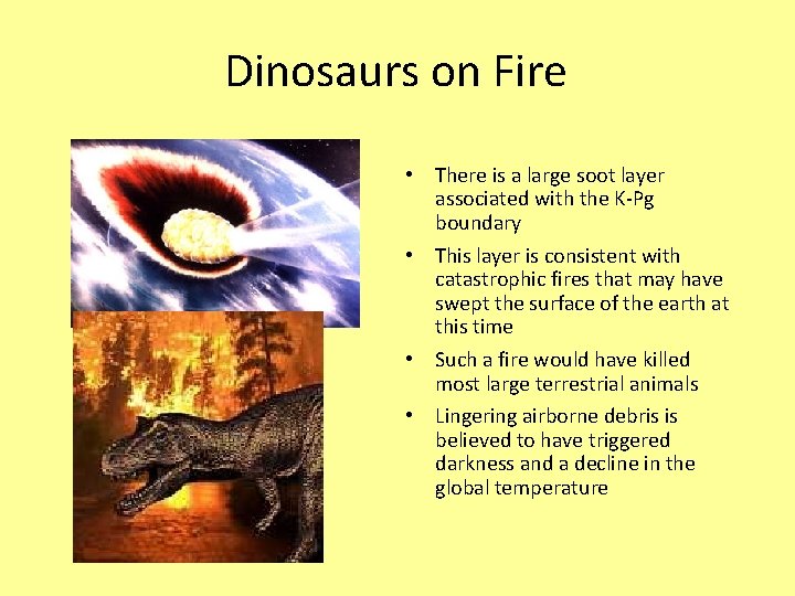 Dinosaurs on Fire • There is a large soot layer associated with the K-Pg