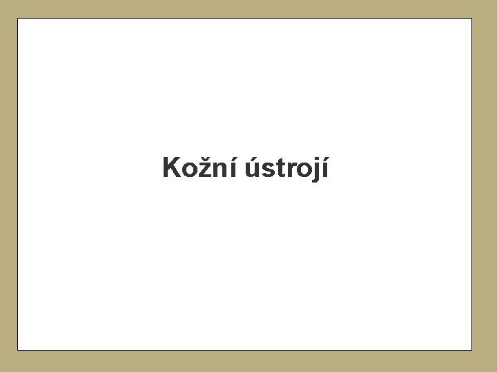 Kožní ústrojí Kožní ústrojí