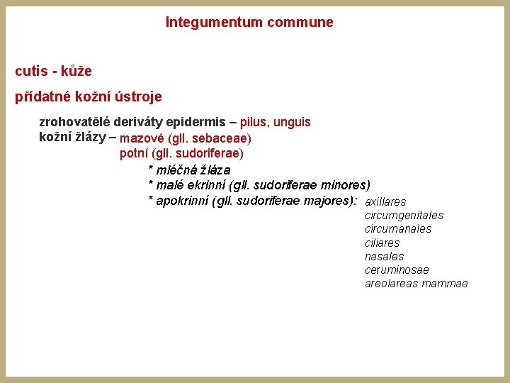 Integumentum commune cutis - kůže přídatné kožní ústroje zrohovatělé deriváty epidermis – pilus, unguis Integumentum commune cutis - kůže přídatné kožní ústroje zrohovatělé deriváty epidermis – pilus, unguis