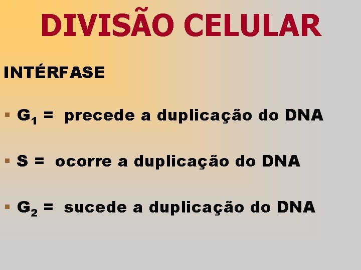 DIVISÃO CELULAR INTÉRFASE § G 1 = precede a duplicação do DNA § S
