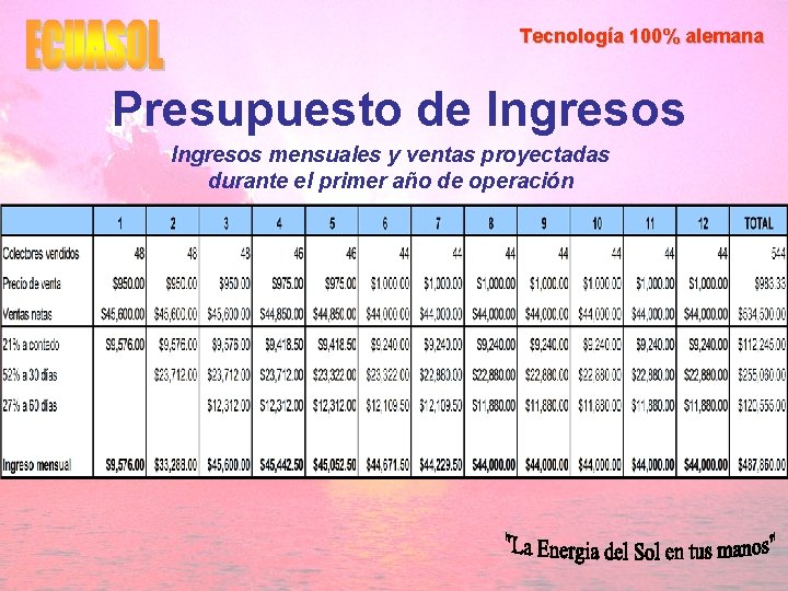 Tecnología 100% alemana Presupuesto de Ingresos mensuales y ventas proyectadas durante el primer año