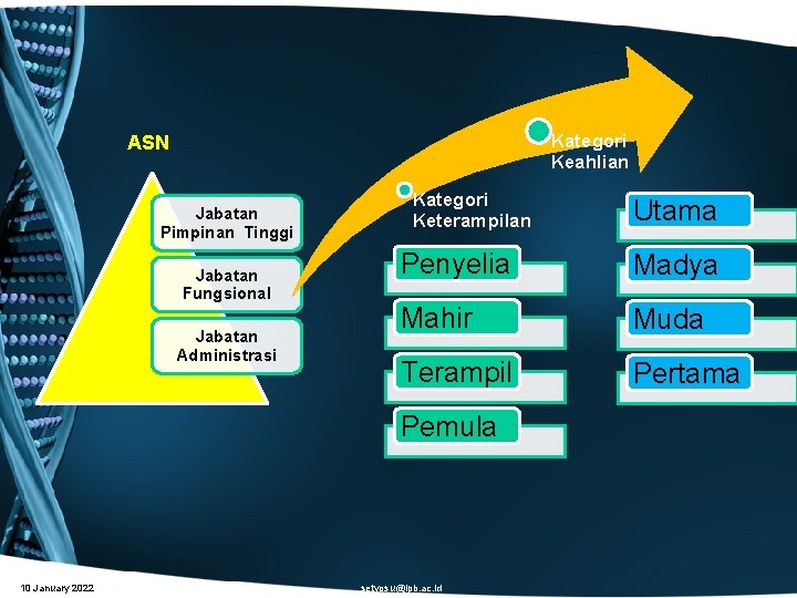 Kategori Keahlian ASN Jabatan Pimpinan Tinggi Jabatan Fungsional Jabatan Administrasi Kategori Keterampilan Penyelia Madya