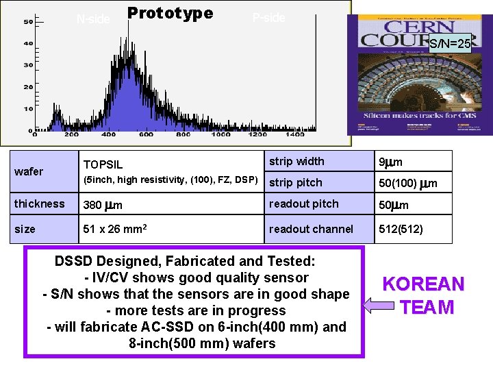 N-side Prototype P-side S/N=25 TOPSIL strip width 9 m m (5 inch, high resistivity,