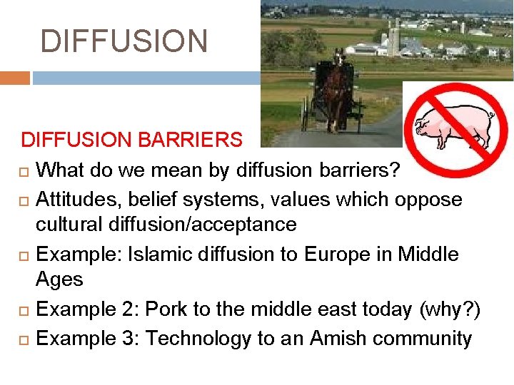 DIFFUSION BARRIERS What do we mean by diffusion barriers? Attitudes, belief systems, values which