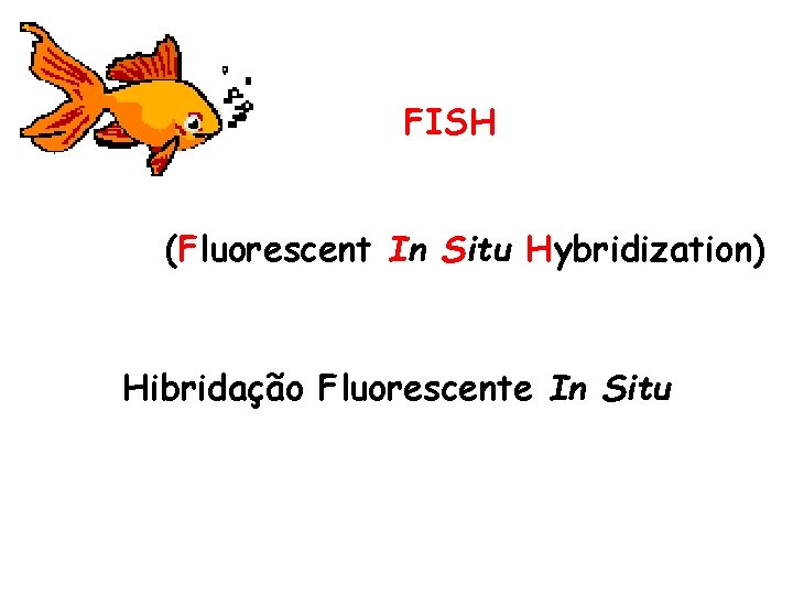 FISH (Fluorescent In Situ Hybridization) Hibridação Fluorescente In Situ 